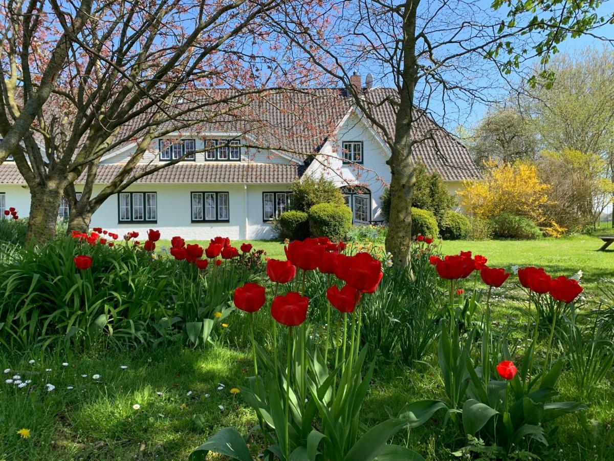 Landhaus Haack Tumlauer Koog Exterior foto